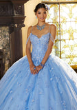 Floral Lace Quinceañera Dress with Three-Dimensional Appliqués
