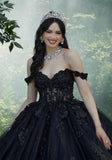 Crystal Beaded Floral Lace Quinceañera Dress