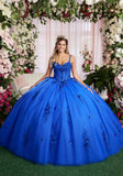 Three Dimensional Sequin Floral Quinceañera Dress with Fly Away Pouf Sleeves