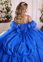 Three Dimensional Sequin Floral Quinceañera Dress with Fly Away Pouf Sleeves