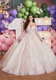 Embroidered and Three Dimensional Floral Appliquéd Glitter Tulle Quinceañera Dress