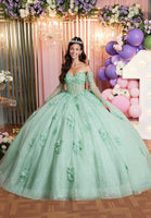 Embroidered and Three Dimensional Floral Appliquéd Glitter Tulle Quinceañera Dress